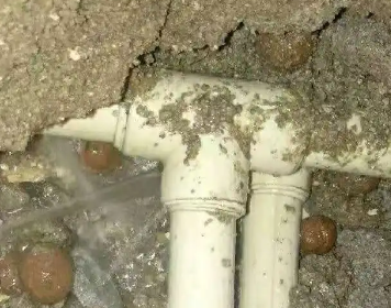 芙蓉测漏水多少钱