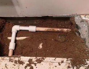 芙蓉测漏水哪家好