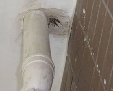 芙蓉漏水检测哪家好